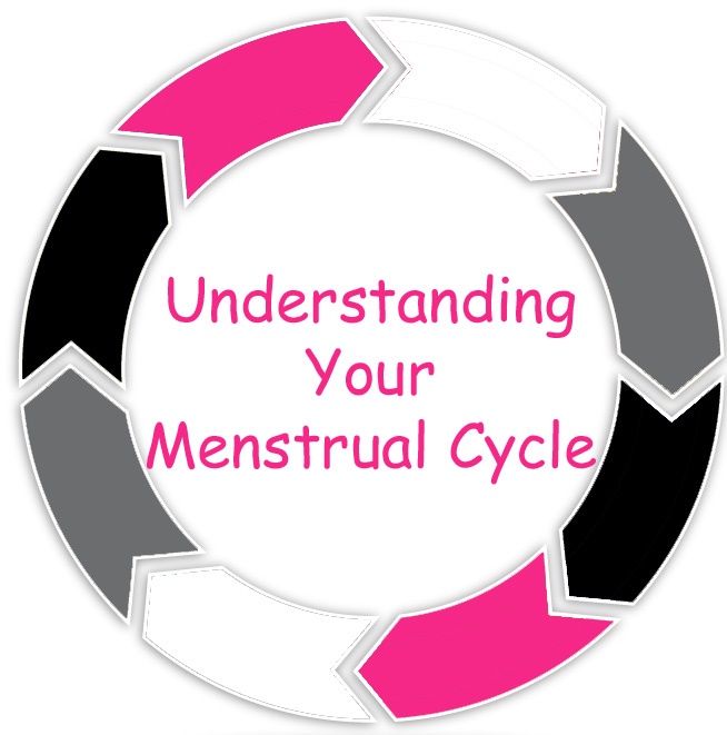 Understanding-Your-Menstrual-Cycle