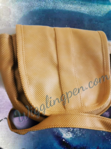 Lady Raga -March2018