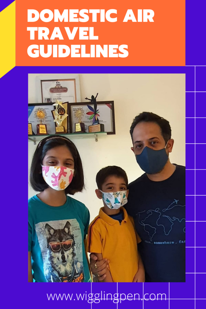 Domestic Air travel guidelines