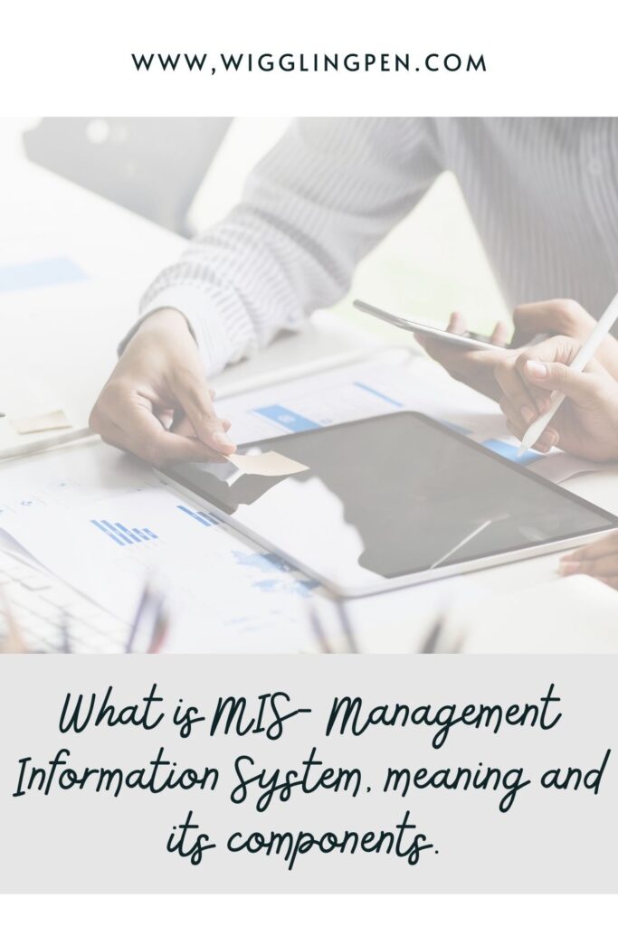 Management Information System