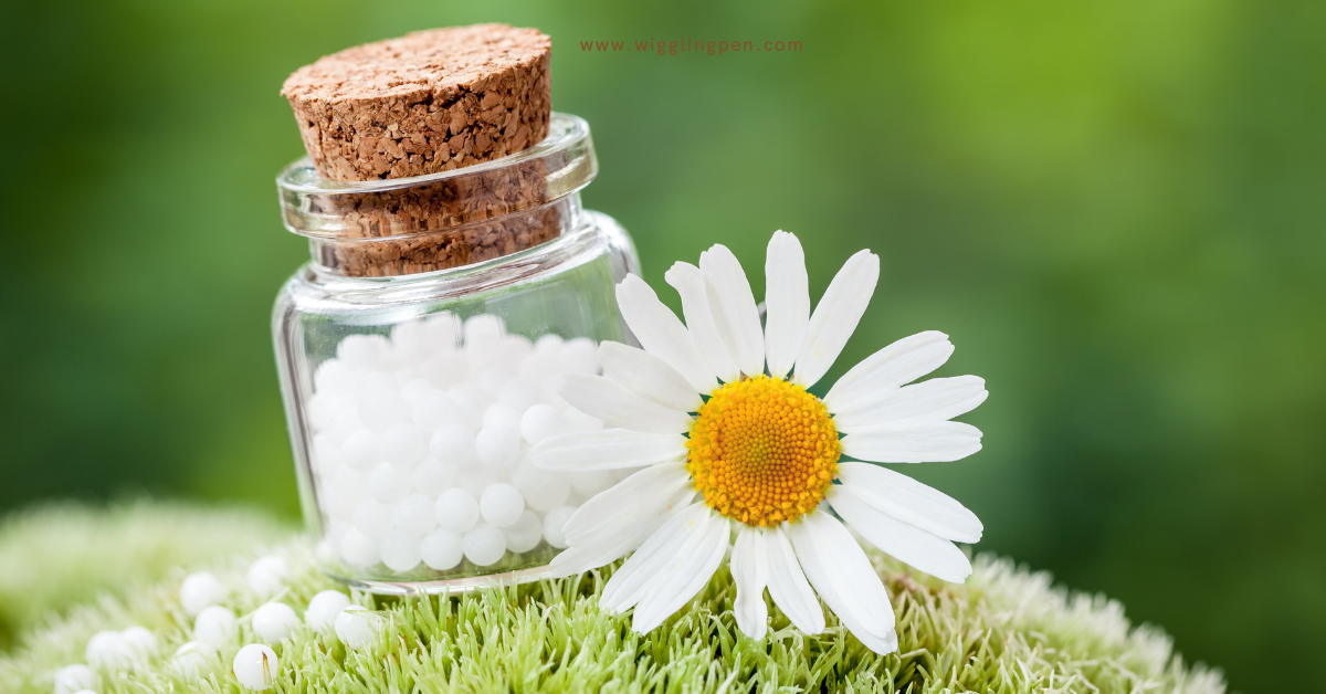 Unlock the Healing Potential of Homeopathy Medicines: Effectiveness, How They Work, and More